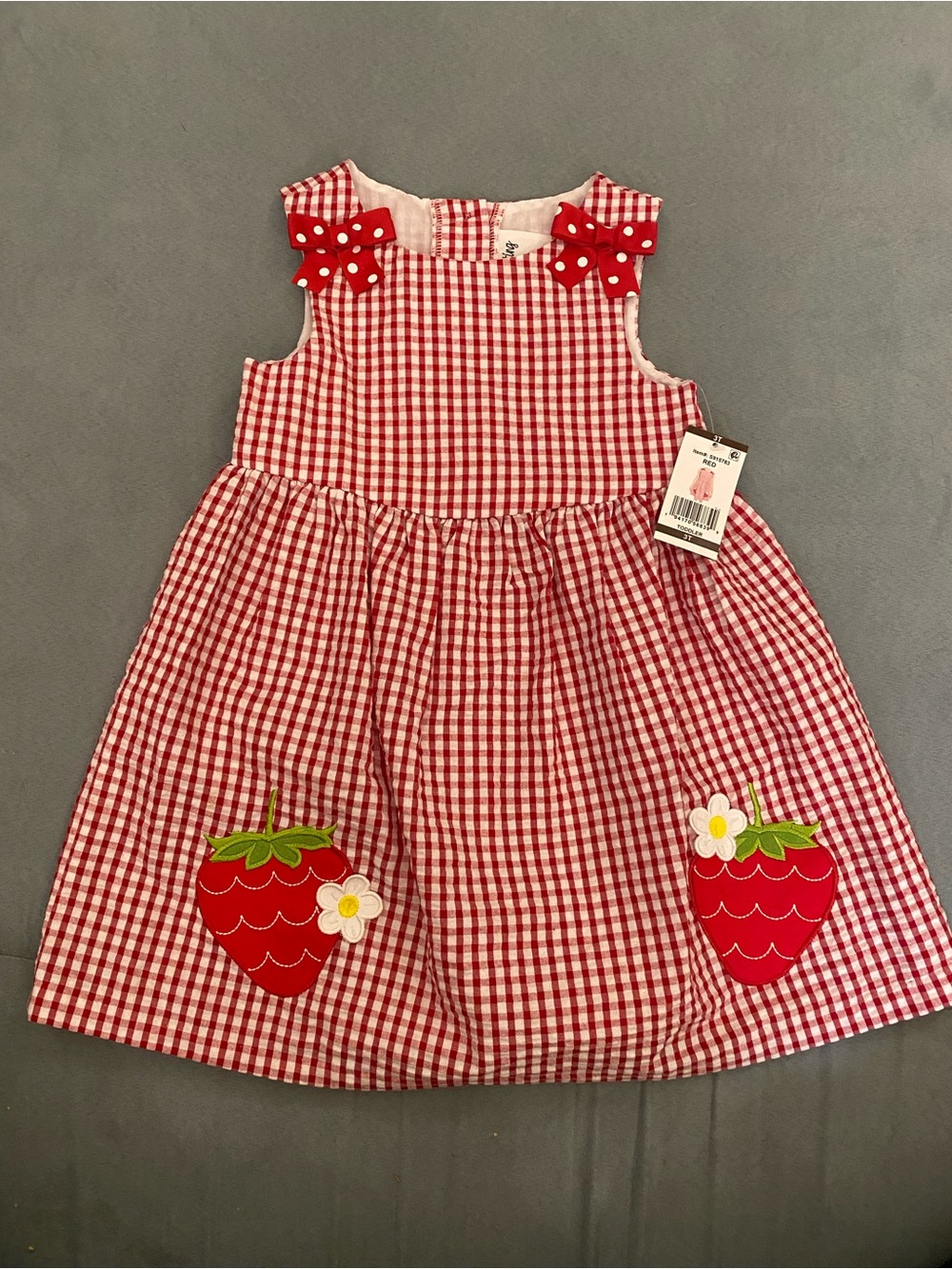 Girls Red Gingham Strawberry Pocket Dress